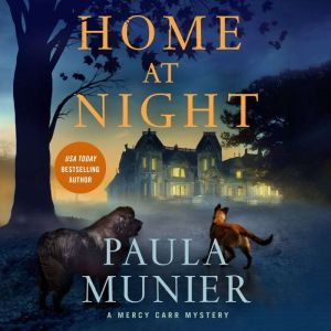 Home at Night, Paula Munier