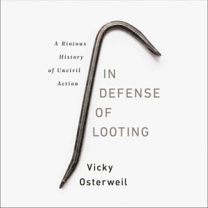 In Defense of Looting, Vicky Osterweil