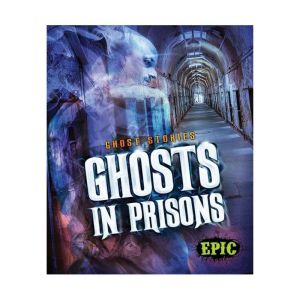 Ghosts in Prisons, Lisa Owings