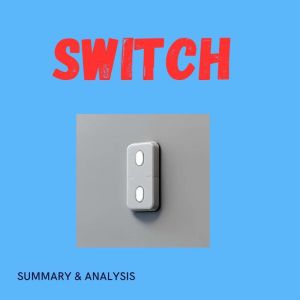 Switch Book summary analysis, Briefly Summaries