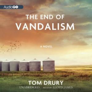 The End of Vandalism, Tom Drury