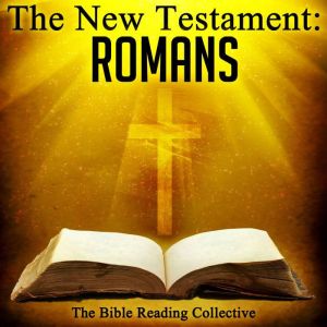 The New Testament Romans, Multiple Authors