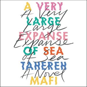 A Very Large Expanse of Sea, Tahereh Mafi