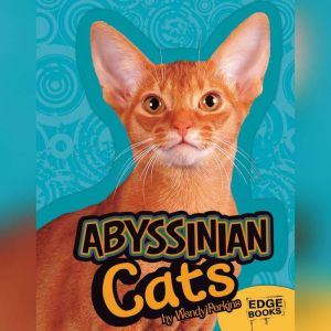 Abyssinian Cats, Joanne Mattern