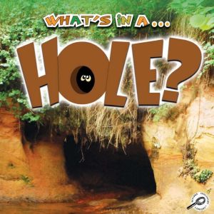 Whats In A Hole?, Tracy N. Maurer
