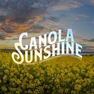 Canola Sunshine, Kaitlin Packer
