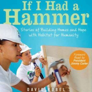 If I Had a Hammer, David Rubel