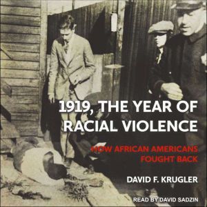 1919, The Year of Racial Violence, David F. Krugler