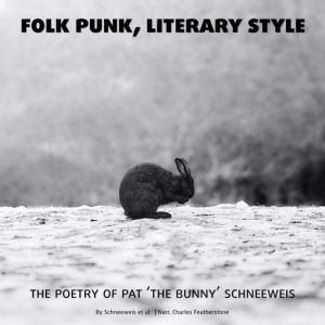 Folk Punk, Literary Style