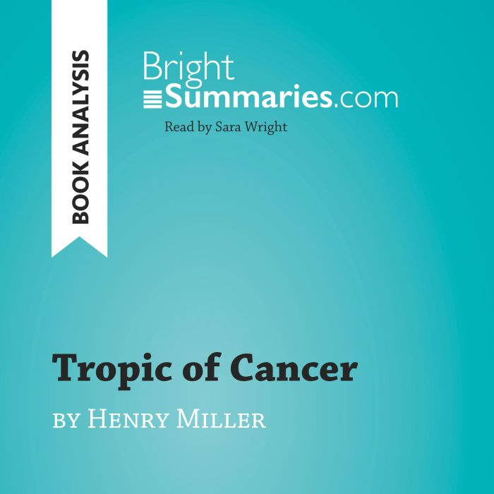 Tropic of Cancer by Henry Miller Boo..., Bright Summaries