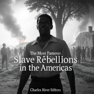 The Most Famous Slave Rebellions in the Americas: The History of Important Uprisings across the Western Hemisphere