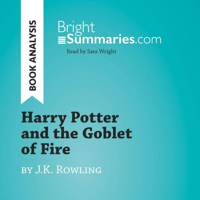 Harry Potter and the Goblet of Fire b..., Bright Summaries