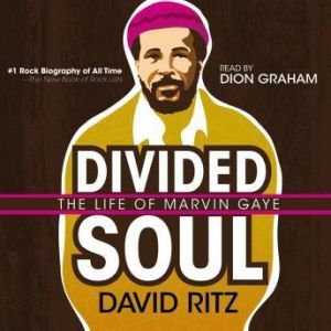 Divided Soul, David Ritz