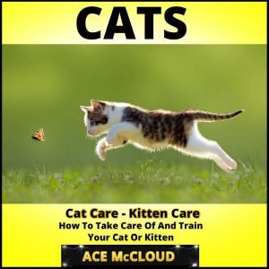 Cats Cat Care Kitten Care How To T..., Ace McCloud