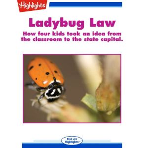 Ladybug Law, Ellen Feldman