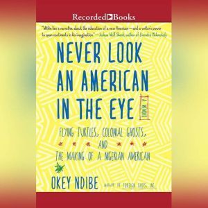 Never Look an American in the Eye, Okey Ndibe