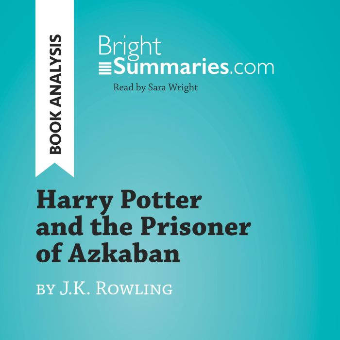 Harry Potter and the Prisoner of Azka..., Bright Summaries