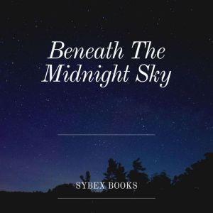 Beneath The Midnight Sky: A Symphony of Silence