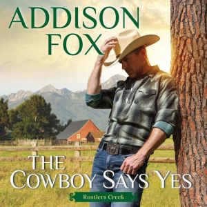 The Cowboy Says Yes, Addison Fox