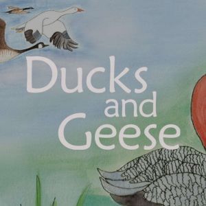 Ducks and Geese, James  Luke Jubran
