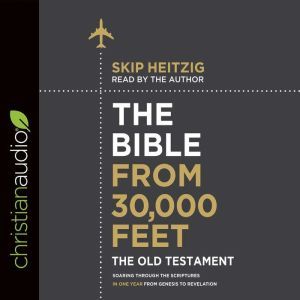 The Bible from 30,000 Feet: The Old Testament Soaring Through the Scriptures in One Year from Genesis to Revelation, Skip Heitzig