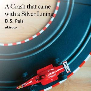 A Crash that came with a Silver Linin..., D.S. Pais