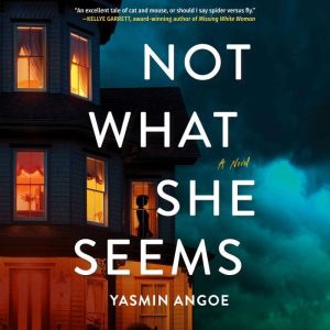 Not What She Seems: A Novel