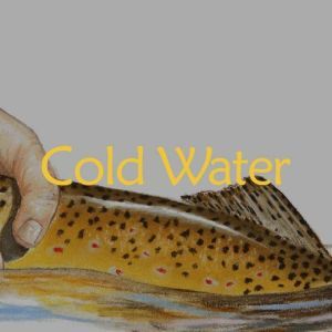 Cold Water, James  Luke Jubran