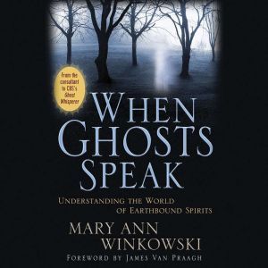 When Ghosts Speak, Mary Ann Winkowski