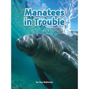 Manatees in Trouble