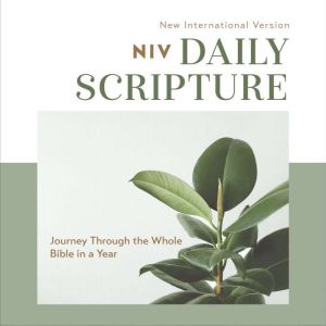 Daily Scripture Audio BibleNew Int..., Zondervan