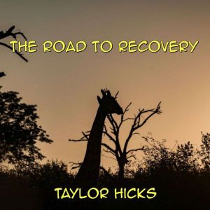The Road to Recovery, Taylor Hicks