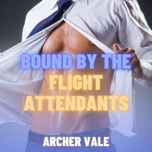Bound by the Flight Attendants (Gay Group Erotica)