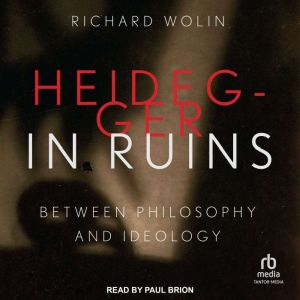 Heidegger in Ruins, Richard Wolin