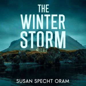 The Winter Storm: A Jacklyn Stone Thriller