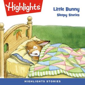 Little Bunny Sleepy Stories, Highlights For Children