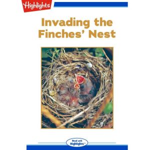 Invading the Finches Nest, Marilyn Kratz