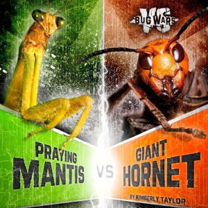Praying Mantis vs. Giant Hornet, Alicia Z. Klepeis