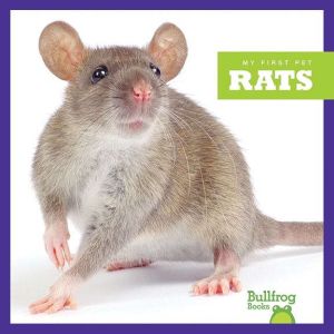 Rats, Vanessa Black