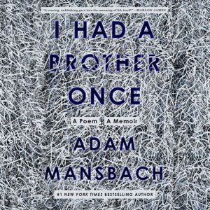 I Had a Brother Once, Adam Mansbach