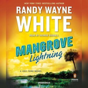 Mangrove Lightning, Randy Wayne White