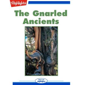 The Gnarled Ancients, Terry Reid
