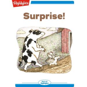 Surprise, Judith Ross Enderle