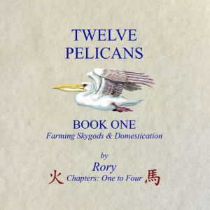 Twelve Pelicans, Rory
