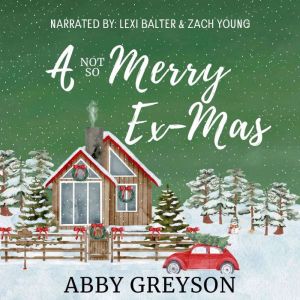 A Not So Merry Ex-Mas: A Sweet, Second Chance, Holiday Romantic Comedy