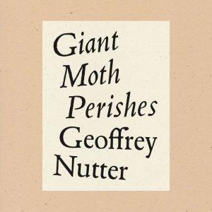 Giant Moth Perishes