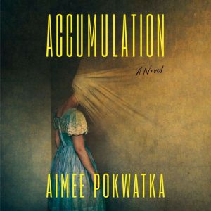 Accumulation, Aimee Pokwatka