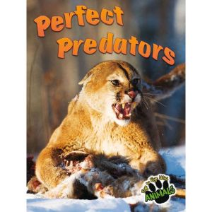 Perfect Predators, Joanne Mattern