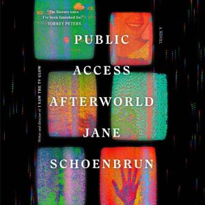 Public Access Afterworld, Jane Schoenbrun