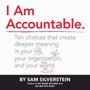 I Am Accountable, Sam Silverstein